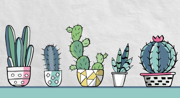 Методика Кактус Панфилова