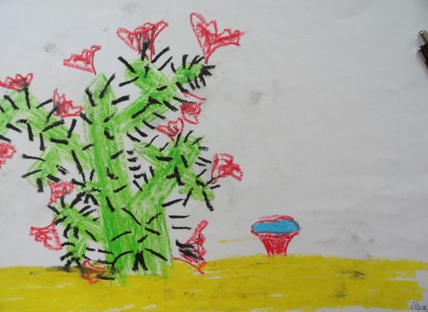 Кактус для психолога