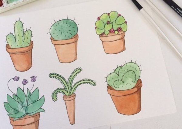 Методика Кактус Панфилова