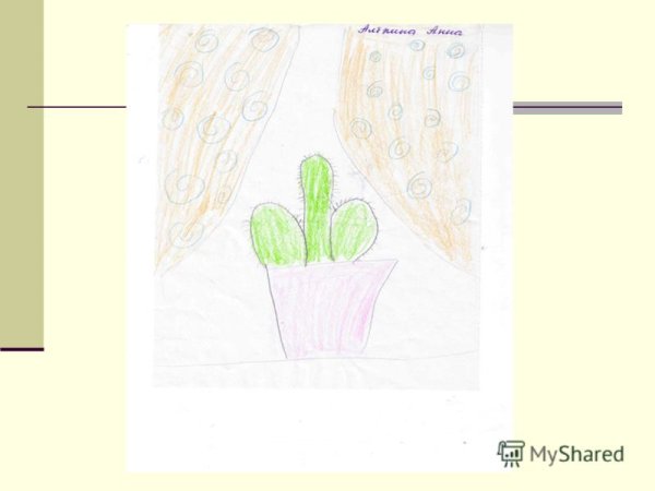 М А Панфилова Кактус