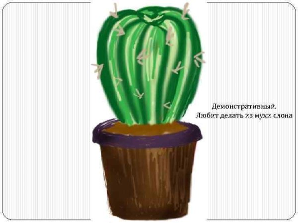 Кактус рисунок карандашом