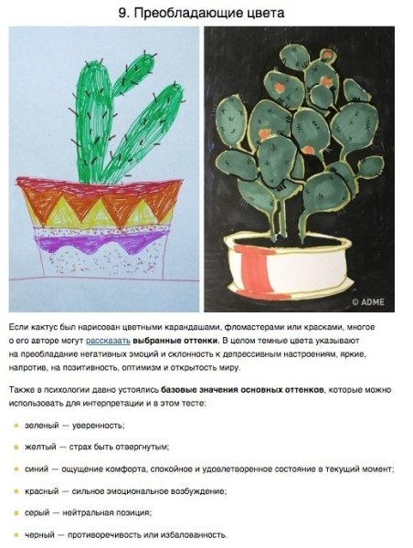 Рисование Кактус старшая группа