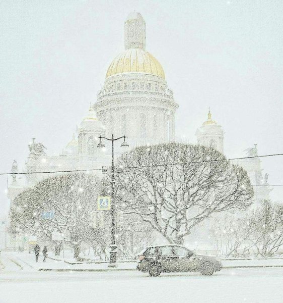 Милица Чарнецкая