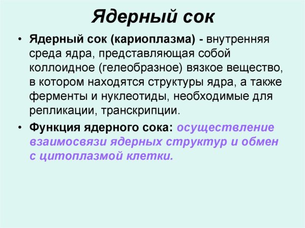 Ядро клетки кариоплазма схема