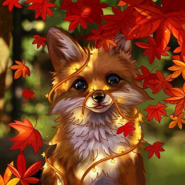 Осенняя Лисичка