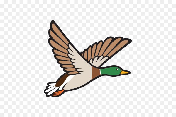 Утка мультяшная в полете