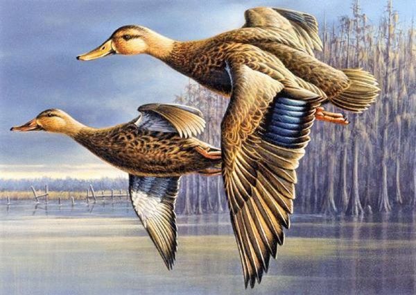 Гусь в полете живопись