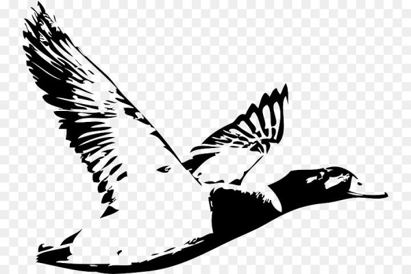 Утка в полете силуэт