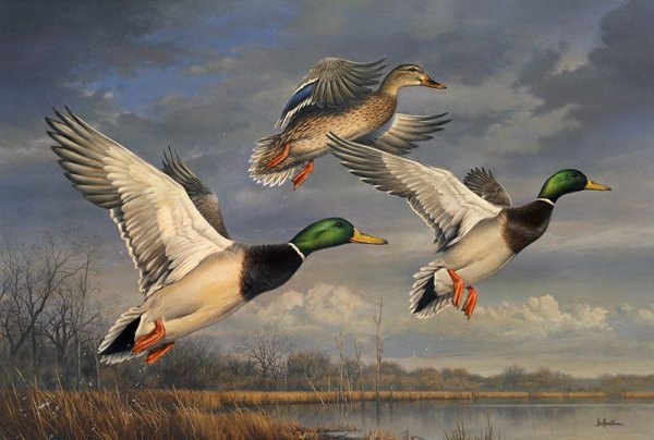 Утки в живописи