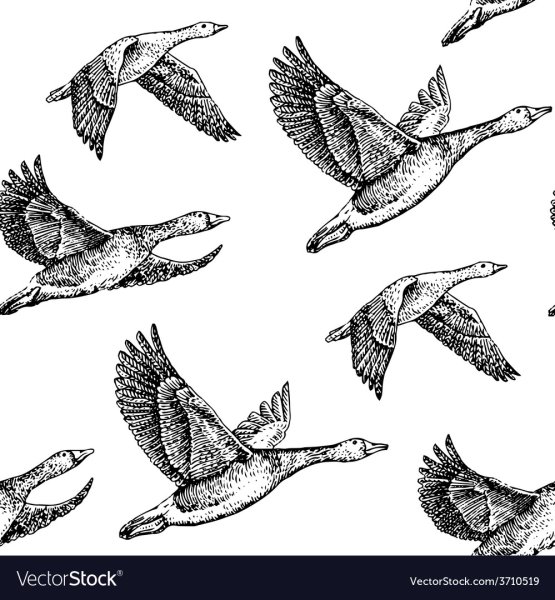 Утки в полете карандашом