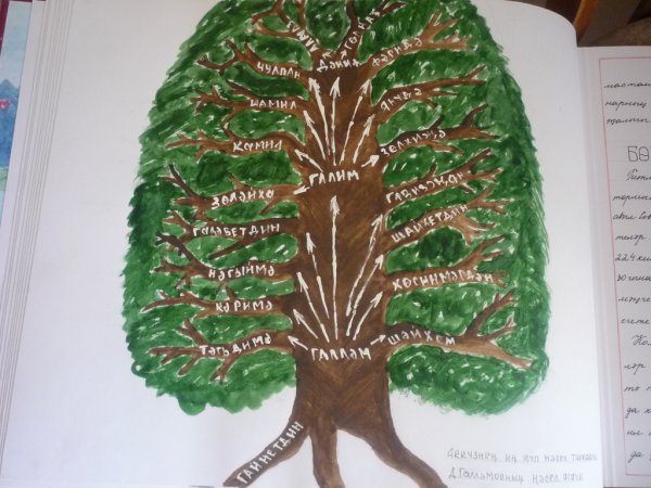 Семейное Древо Шежере Багаевы