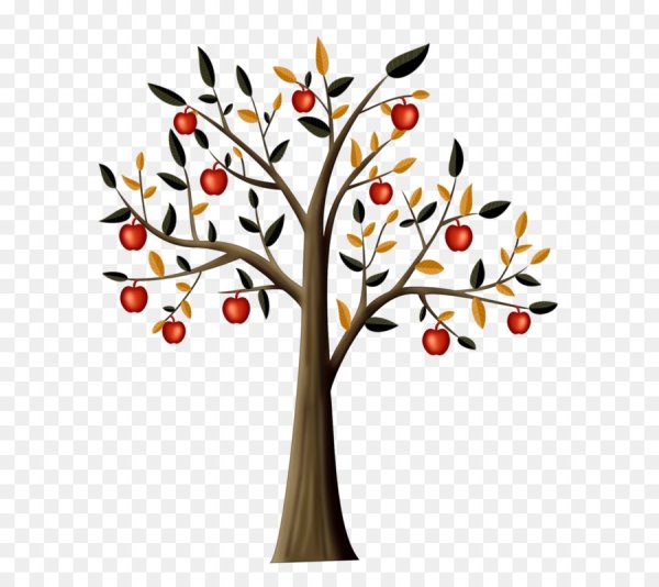 Сенне дерево с яблоками