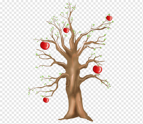 Дерево вишня для детей