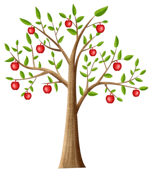 Времена года на дереве