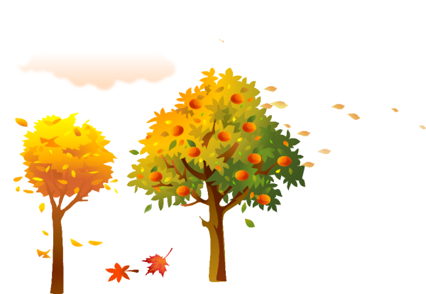 Яблоня дерево осенью