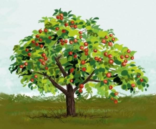 Дерево летом и осенью