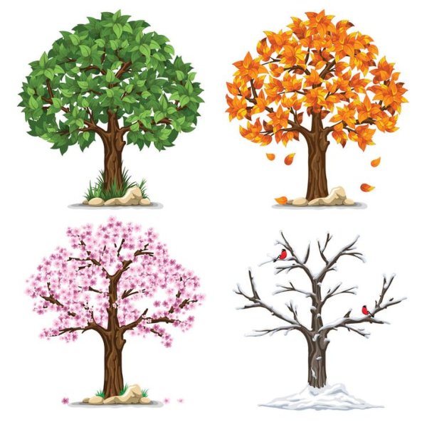 Осеннее дерево раскраска