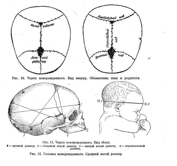 Роднички черепа анатомия