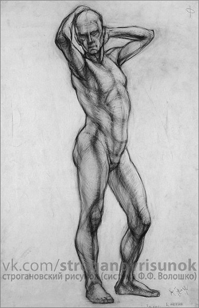 Могилевцев анатомия фигуры человека