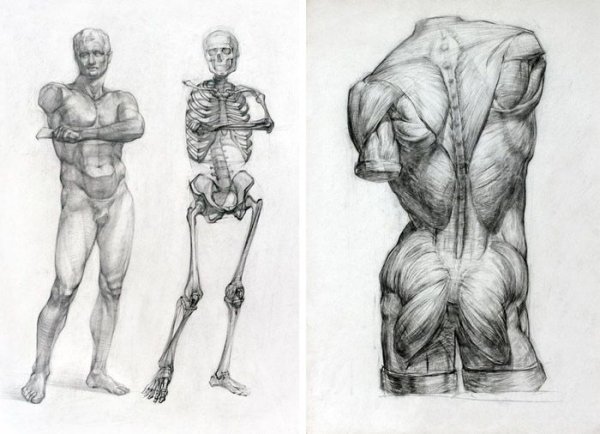 Академический рисунок фигуры контрапост