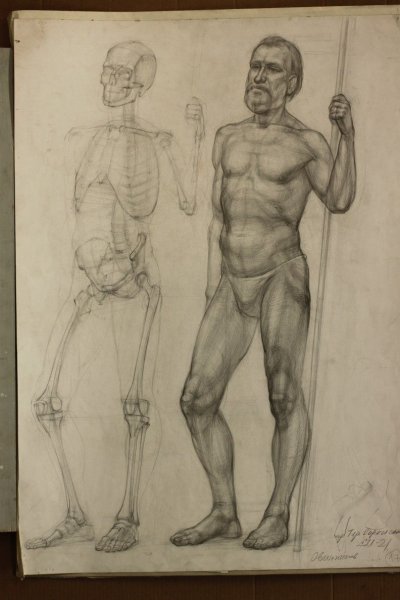 Анатомический рисунок Академии художеств Репина