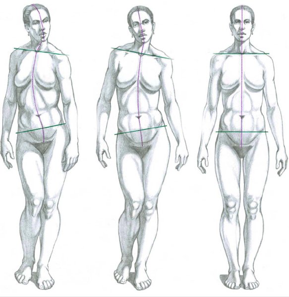 Рисунок фигуры Экорше Олег Торопыгин
