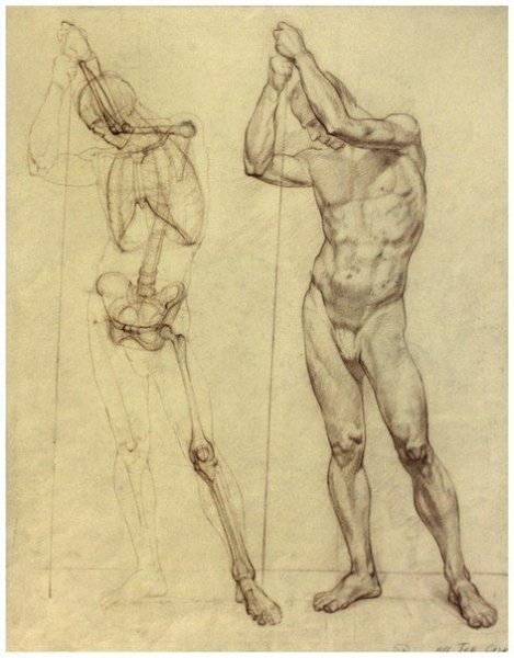 Николай ли Наброски человека