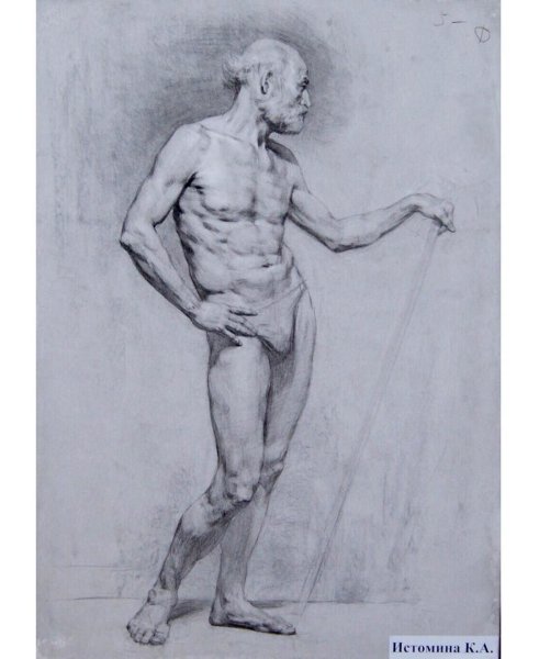 Академический рисунок фигуры контрапост