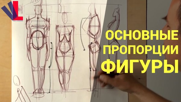 Экорше Гудона торс