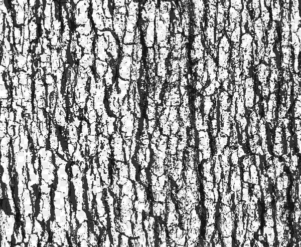 Кора рябины текстура