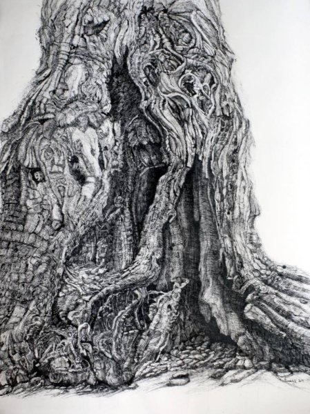 Кора дерева черно белая