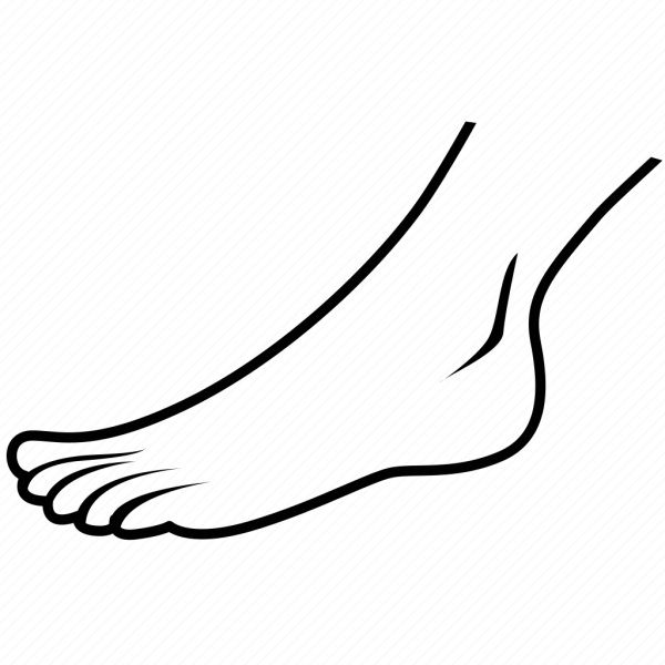 Контур ступни