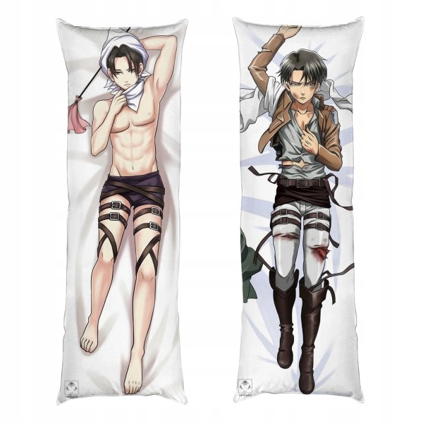 Леви Аккерман на дакимакуру