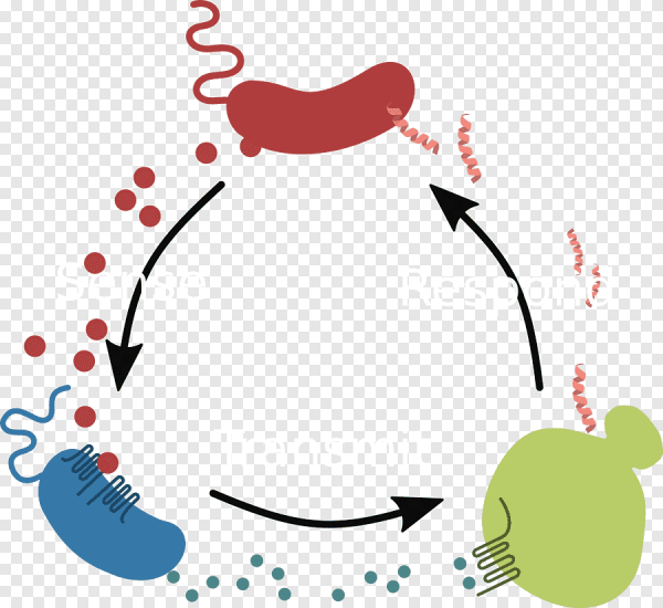 Холера картинки для презентации