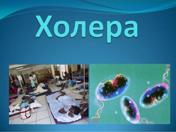 Холера картинки для презентации