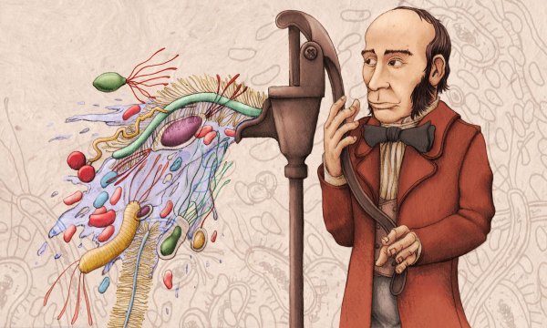 Джон Сноу (1813 - 1858)