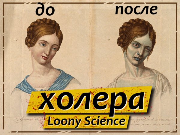 Презентация на тему холера