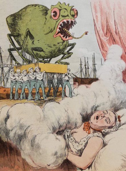 Vibrio cholerae рисунок