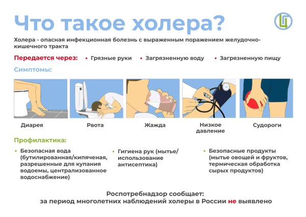 Vibrio cholerae рисунок