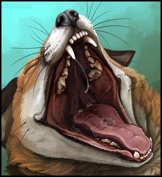 Клыки туториал