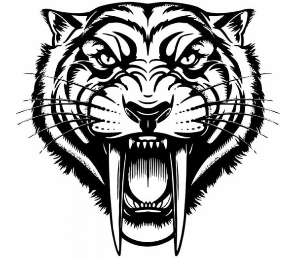 Саблезубый тигр тату эскиз