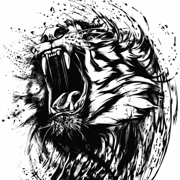 Оскал волка рисунок