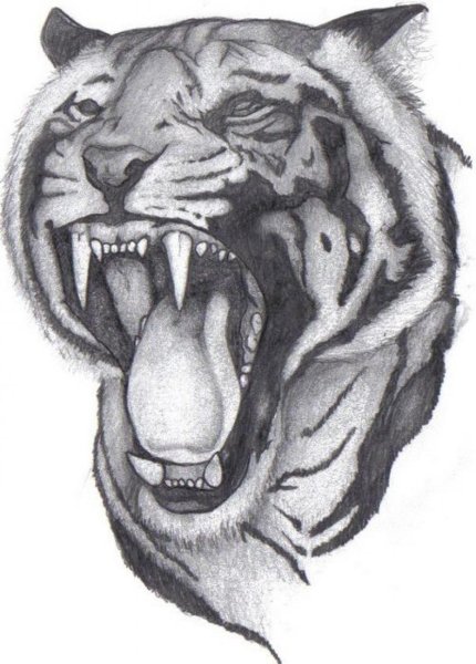 Оскал пантеры тату