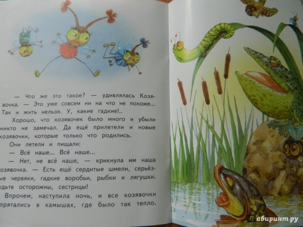 Аленушкины сказки козявочка