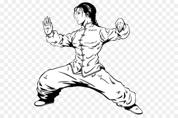 Цигун Тайцзи кунг фу