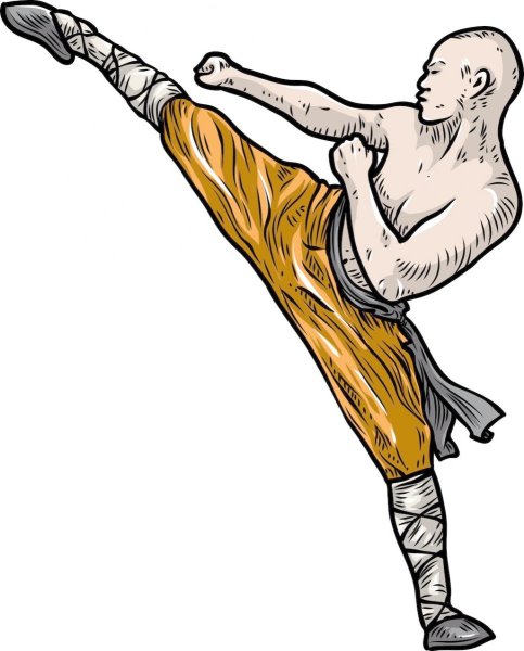 Юаньдао боевое искусство