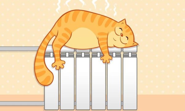 Рыжий кот на батарее
