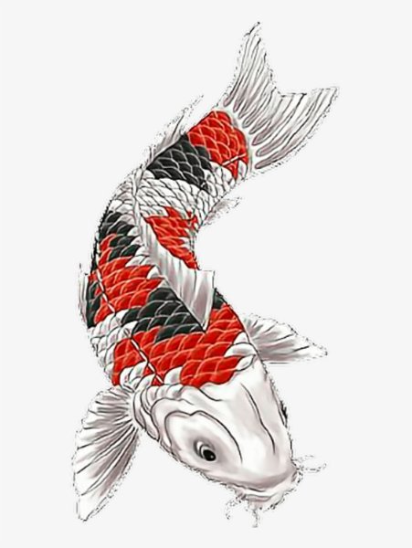 Японские рыбки акварель