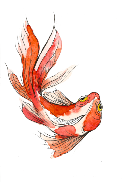 Японские карпы Инь Янь