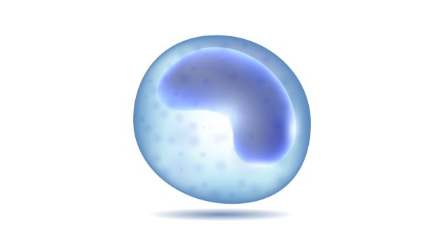 Моноцит гиф